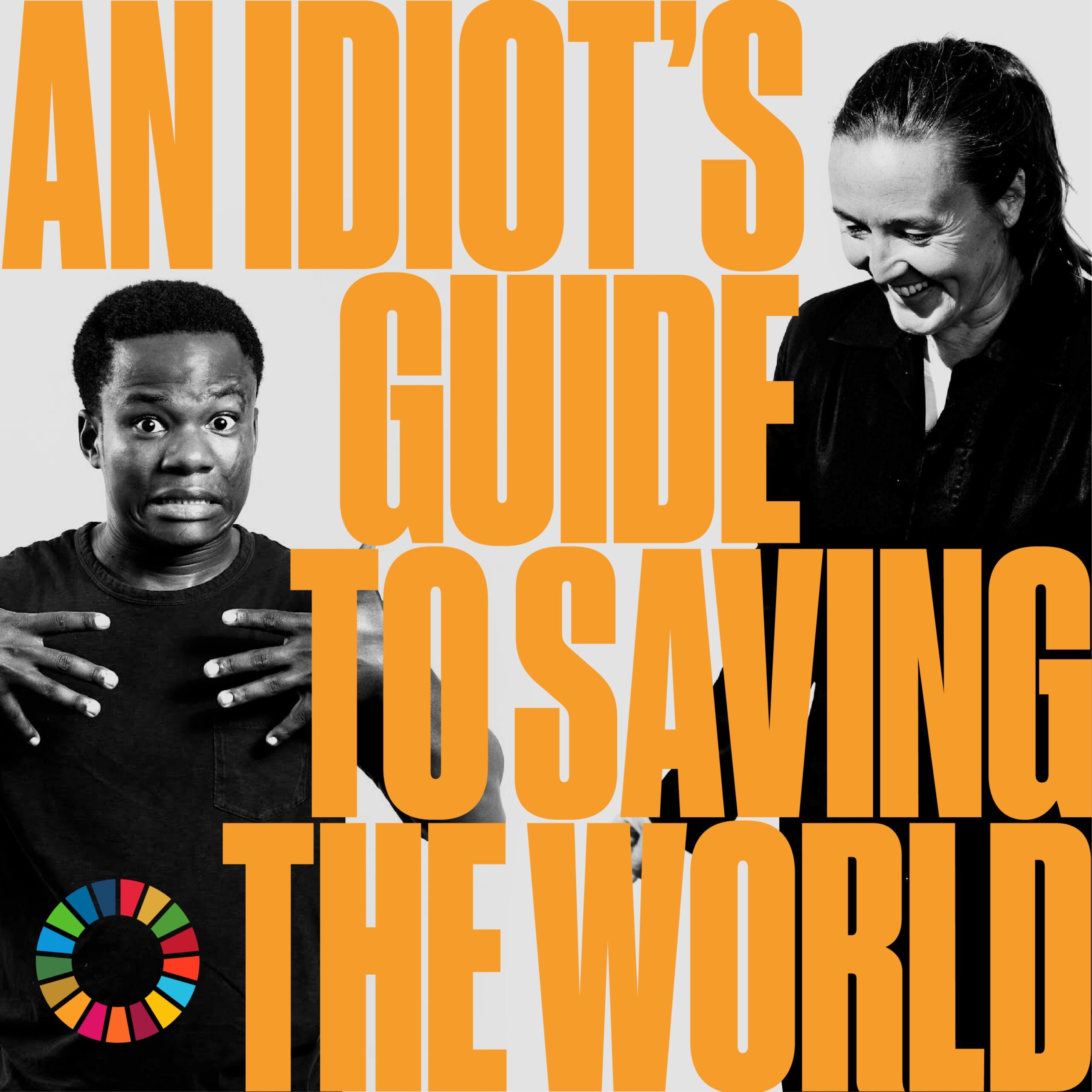 An Idiot’s Guide to Saving the World